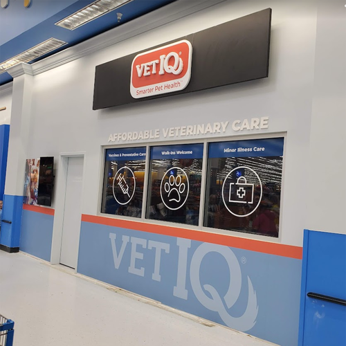 Window & Wall Graphics